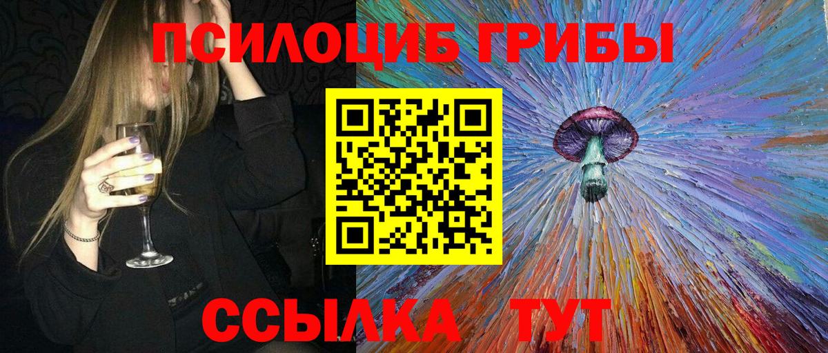 Галлюциногенные грибы прущие грибы Губкин