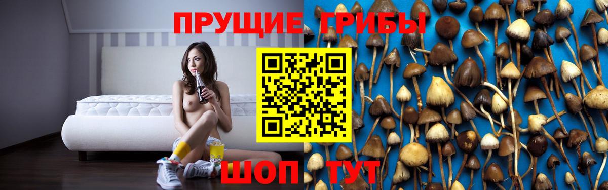 Губкин  Псилоцибиновые грибы GOLDEN TEACHER  Вход с VPN  Псилоцибиновые грибы ЛСД 